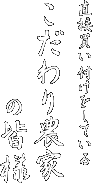 直接買い付けをしているこだわりの農家の皆様